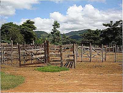 ARENA DE RODEIOS-FOTO:GERALDO_ANTONINO  - FELICINA - MG