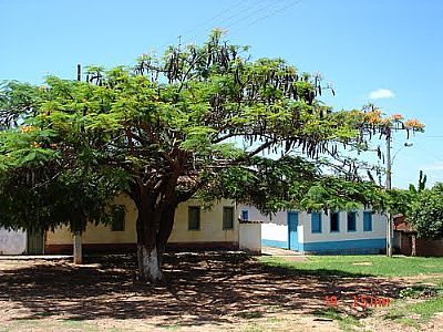 IMAGEM-FOTO:D DE GALVA  - FERREIRPOLIS - MG