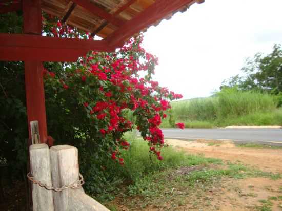 VISTA DA BR, POR MARQUES PEREIRA - FERREIRPOLIS - MG