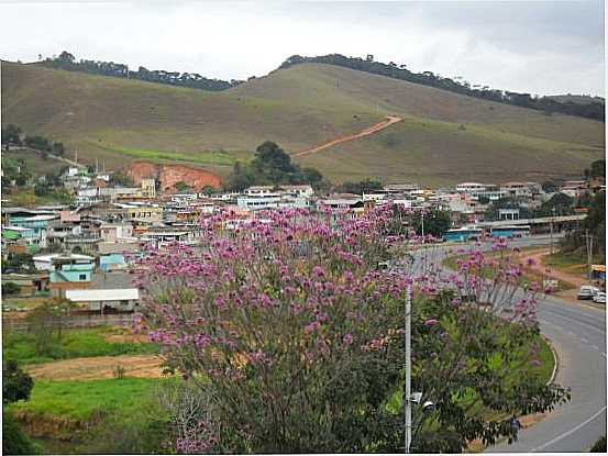  POR LAUDEMAR MARTINS FONSECA - FERVEDOURO - MG