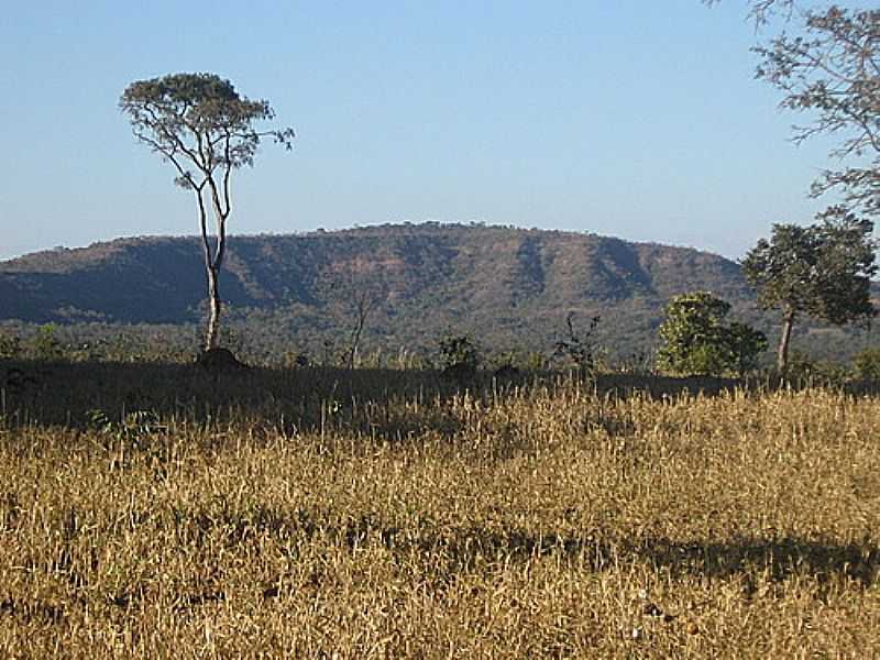 FLOR DE MINAS-MG-VISTA DA REGIO-FOTO:BR.GEOVIEW.INFO - FLOR DE MINAS - MG