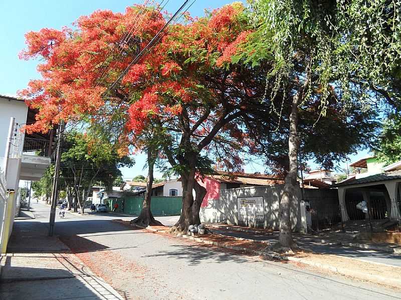 IMAGENS DA CIDADE DE FLORESTAL - MG - FLORESTAL - MG