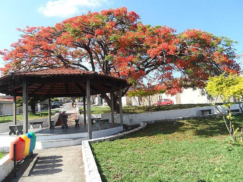 IMAGENS DA CIDADE DE FLORESTAL - MG - FLORESTAL - MG