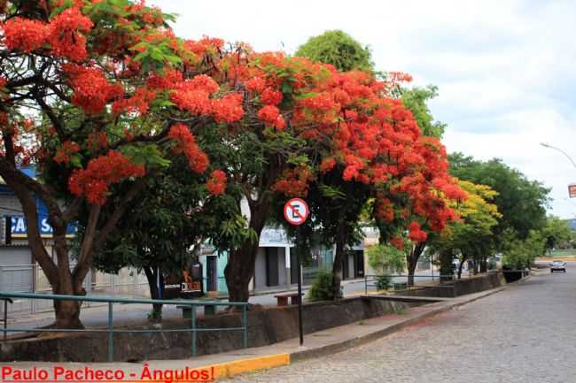 POR NIVALDO JOSE PINTO - FORMIGA - MG