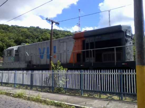 FORMIGA, POR ANDREI MILAGRES - FORMIGA - MG
