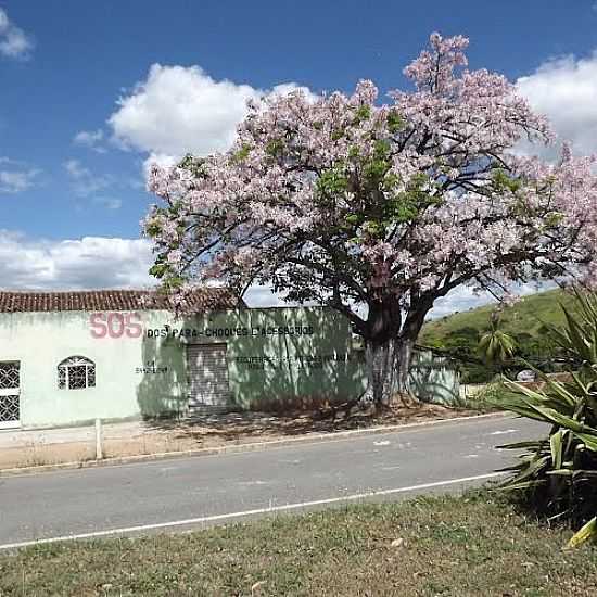 RUA DE FREI INOCNCIO-MG-FOTO:MONTANHA - FREI INOCNCIO - MG