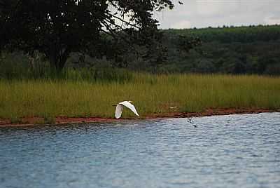 FREI ORLANDO   FOTO
.MOMENTODAPESCA - FREI ORLANDO - MG