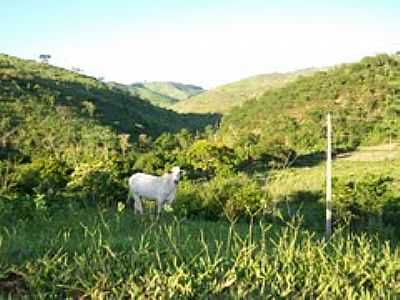 NATUREZA-FOTO:LITTLE SHEDOW  - FREI SERAFIM - MG