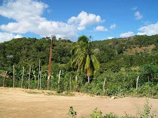 PAISAGEM DA REGIO-FOTO:LITTLESHEDOW [PANORAMIO] - FREI SERAFIM - MG