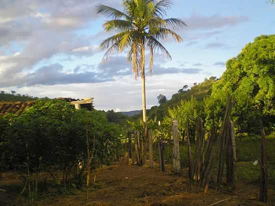 FAZENDA MIRAGEM-FOTO:EUGENIO RIBAS [PANORAMIO] - FRONTEIRA DOS VALES - MG