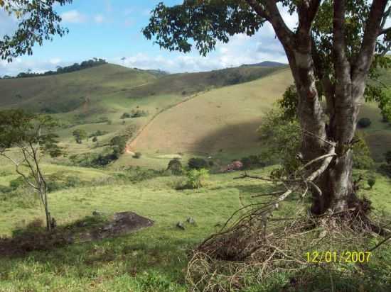 FAZENDA BOA SORTE  MONTE CASTELO, POR DILVAN CALDEIRA DOS SANTOS - FRONTEIRA DOS VALES - MG