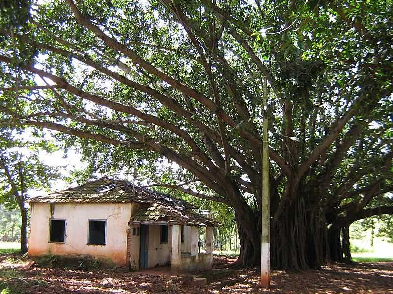 FRUTAL-MG-COMUNIDADE DE GUA SANTA-FOTO:ALTEMIRO OLINTO CRISTO - FRUTAL - MG