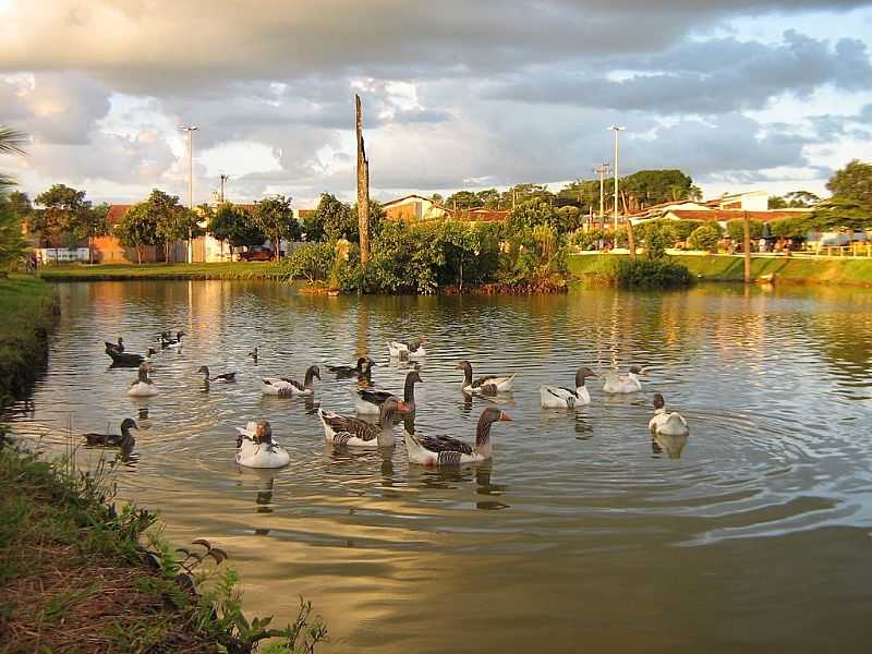 FRUTAL-MG-LAGO DO PARQUE MUNICIPAL DOS LAGOS-FOTO:ALTEMIRO OLINTO CRISTO  - FRUTAL - MG