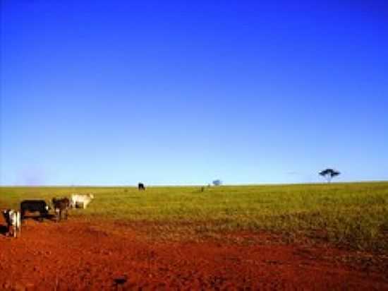 PASTAGEM-FOTO:LEANDRO DURES[PANORAMIO] - FUNILNDIA - MG