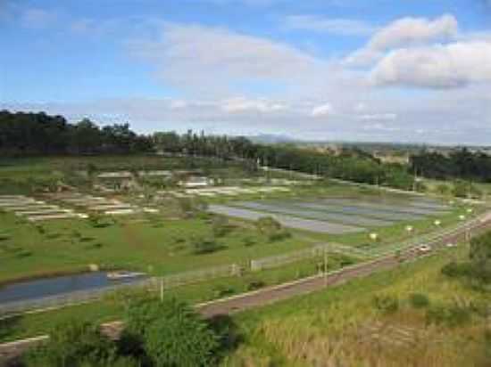 CENTRO DE PISCICULTURA-FOTO:CLAUDIO PEREIRA[PANORAMIO] - FURNAS - MG