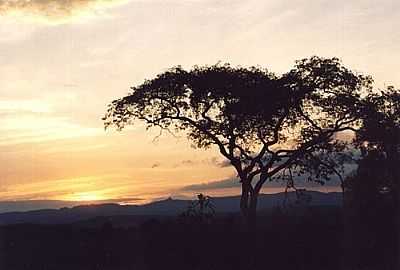 PR DO SOL EM GLAURA-FOTO:WILLIAM.CARVALHO  - GLAURA - MG