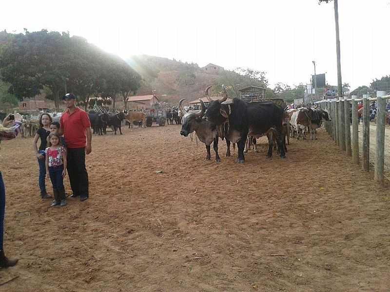 IMAGENS DE GOIABEIRA - MG - GOIABEIRA - MG