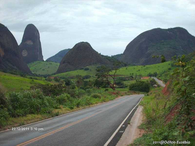 IMAGENS DE GOIABEIRA - MG - GOIABEIRA - MG