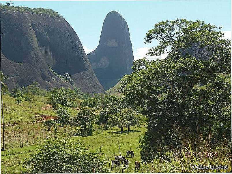 IMAGENS DE GOIABEIRA - MG - GOIABEIRA - MG