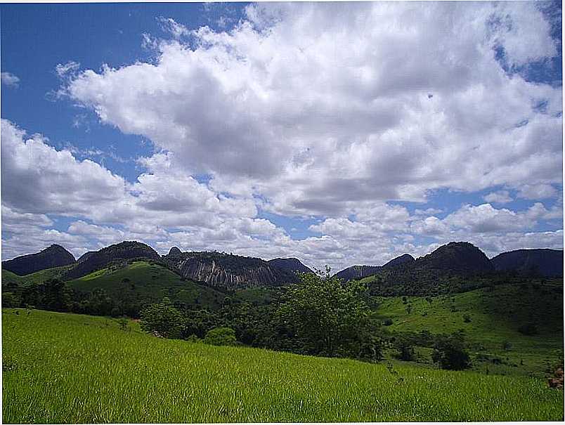 IMAGENS DE GOIABEIRA - MG - GOIABEIRA - MG
