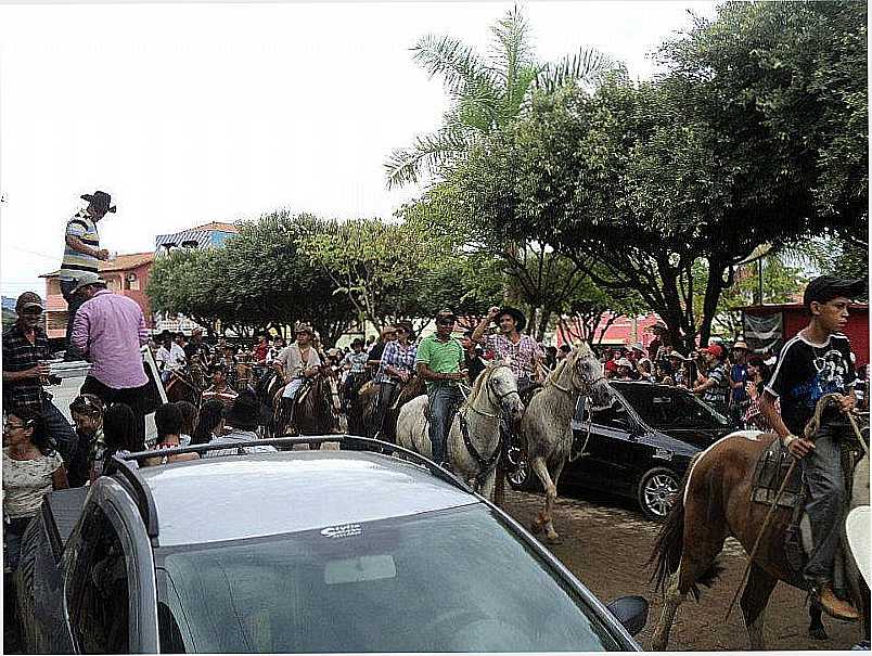 IMAGENS DE GOIABEIRA - MG - GOIABEIRA - MG