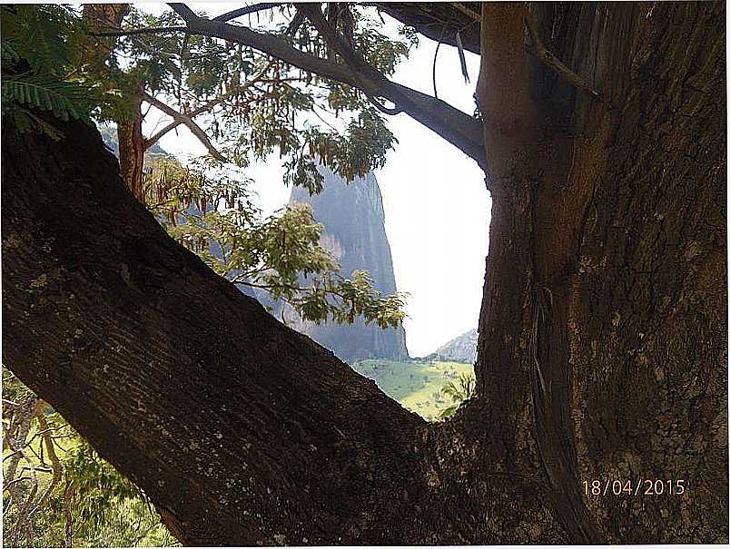 IMAGENS DE GOIABEIRA - MG - GOIABEIRA - MG