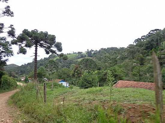 REA RURAL EM GONALVES-MG-FOTO:AYLTON BAFFA - GONALVES - MG