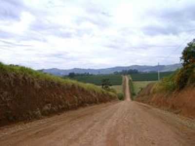 ESTRADA-FOTO:DANIEL SOUZA LIMA  - GRAMNEA - MG