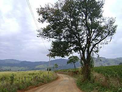 ESTRADA-FOTO:DANIEL SOUZA LIMA  - GRAMNEA - MG