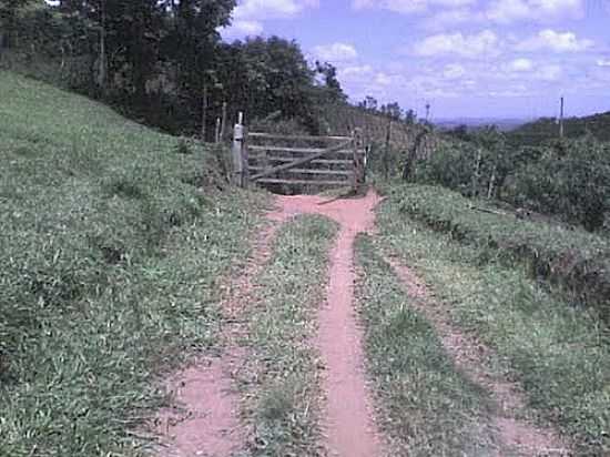 IMAGEM RURAL-FOTO:JOAOBOZO10 [PANORAMIO] - GROTA - MG