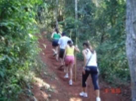 GUARANI MG