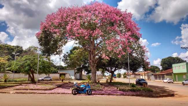 POR GERALDO MAGELA  DA  SILVA JUNIOR - GUARDA DOS FERREIROS - MG