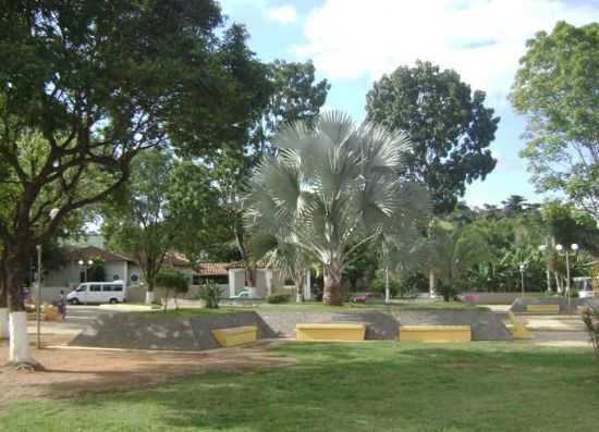 PALMEIRA AZUL NA PRAA SANTO ANTONIO, POR POUSADA E RESTAURANTE DO MARQUINHOS - GUIDOVAL - MG