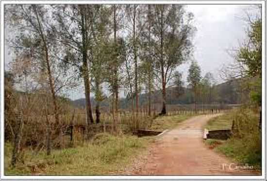 PONTE EM REA RURAL-FOTO:TREKEARTH. - HERMILO ALVES - MG