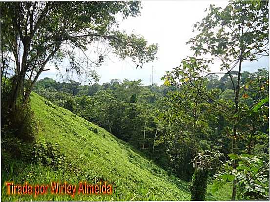 ABISMO DA ESTRADA DA COLONIA E SERRA, POR WIRLEY ALMEIDA SANTOS - SERRA DO NAVIO - AP