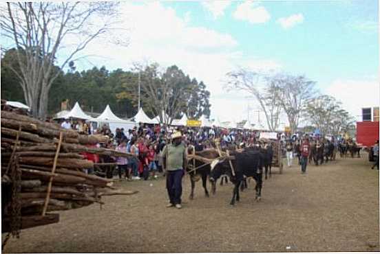 FESTIVAL DE CARRO DE BOIS, POR POR MAESTRO ALENCAR (KACAI) - IBERTIOGA - MG