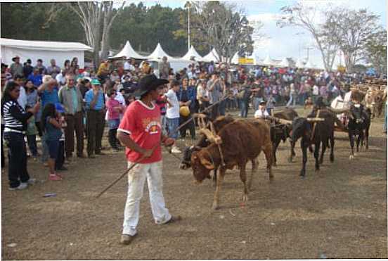 FESTIVAL DE CARRO DE BOIS, POR POR MAESTRO ALENCAR (KACAI) - IBERTIOGA - MG