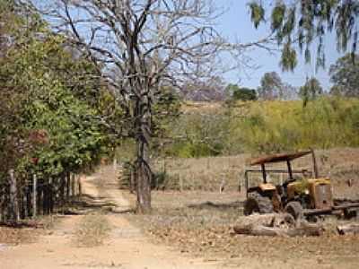 IMAGEM RURAL-FOTO:TULLIO PDUA - IJACI - MG