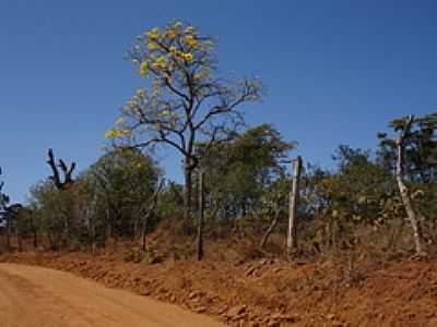 ESTRADA DE TERRA-FOTO:TULLIO PDUA - IJACI - MG