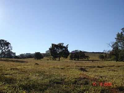 CAMPO-FOTO:TULLIO PDUA - IJACI - MG