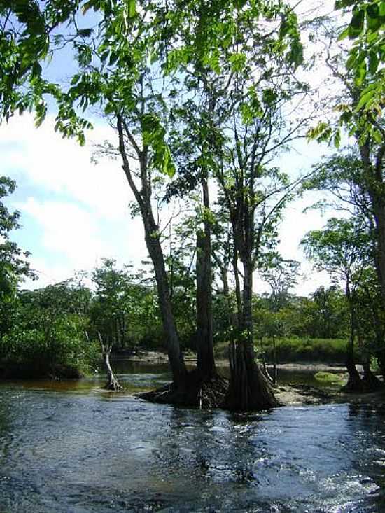 RIO TARTARUGALZINHO-FOTO:ALAN.KARDEC - TARTARUGALZINHO - AP