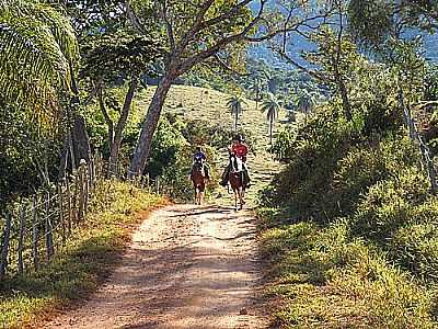 PAISAGEM EM IPOEMA, POR JOS GUSTAVO A. MURTA. - IPOEMA - MG