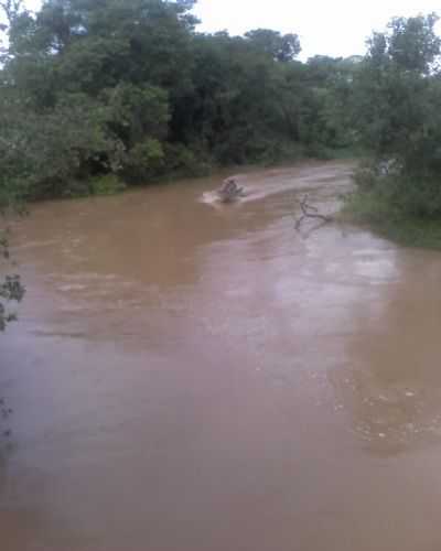 RIO EM ITAIM , POR JOS LUIZ - ITAIM - MG