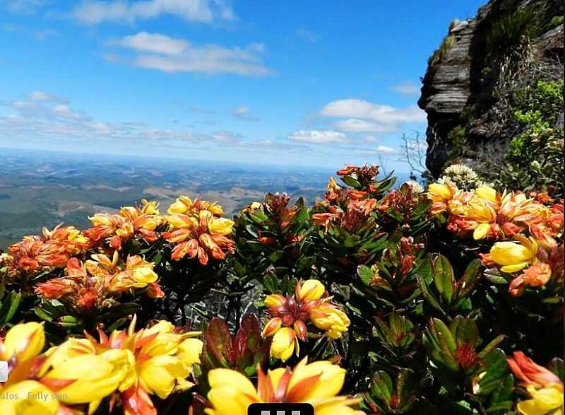 ITAMARANDIBA-MG-VISTA DO PARQUE ESTADUAL DA SERRA NEGRA-FOTO:PM.ITAMARANDIBA.MG  - ITAMARANDIBA - MG