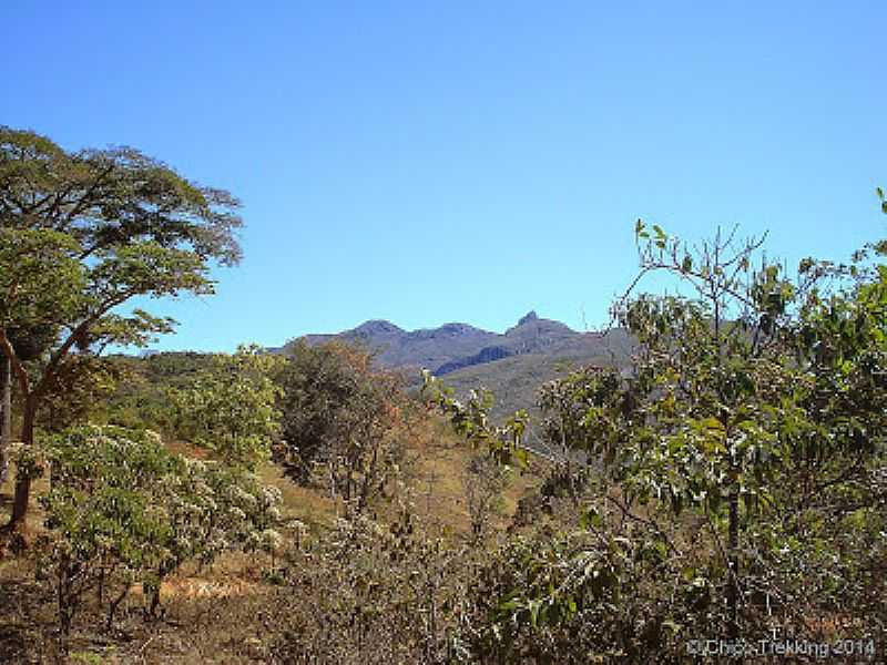 ITAMB DO MATO DENTRO-MG-PICO DO ITACOLOMI-FOTO:CHICOTREKKING.COM.BR - ITAMB DO MATO DENTRO - MG