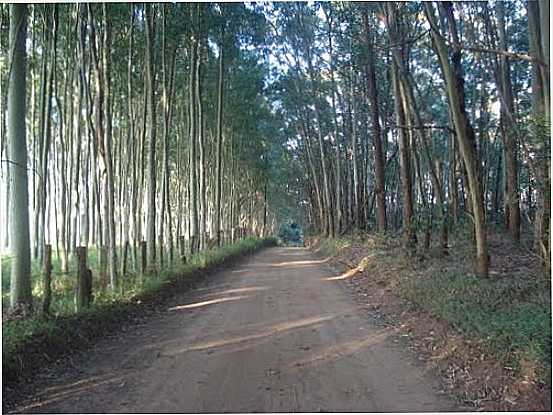 ACESSO A ITAMOGI, POR LUCAS - ITAMOGI - MG