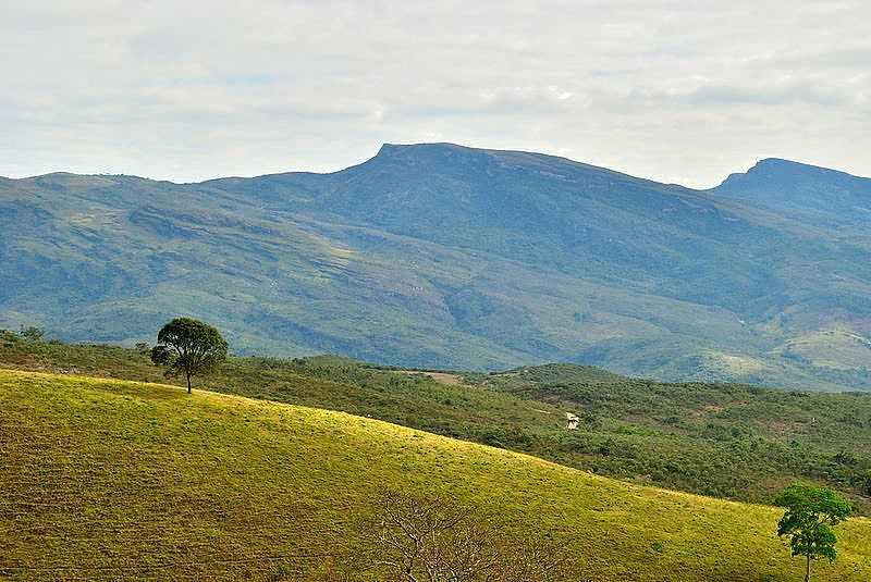 ITAPANHOACANGA-MG-PASTO E A SERRA DO ESPINHAO-FOTO:LEANDRO DURES - ITAPANHOACANGA - MG