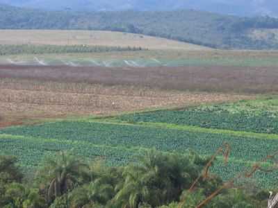AS PLANTAOES DE ITATIAIUU, POR SIMONE DE MATOS LEITE - ITATIAIUU - MG