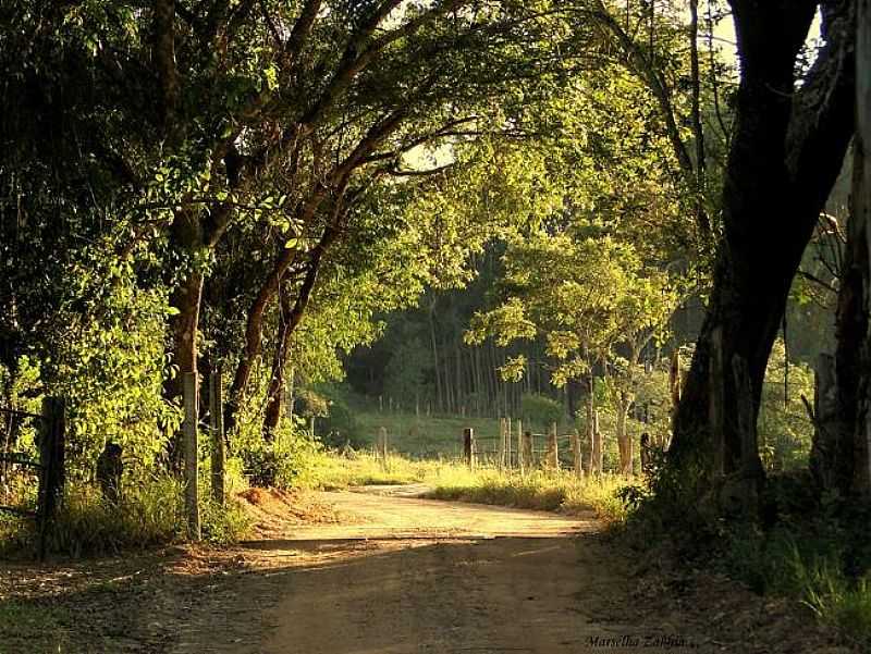 ITUMIRIM - MINAS GERAIS - FOTO PREFEITURA MUNICIPAL - ITUMIRIM - MG