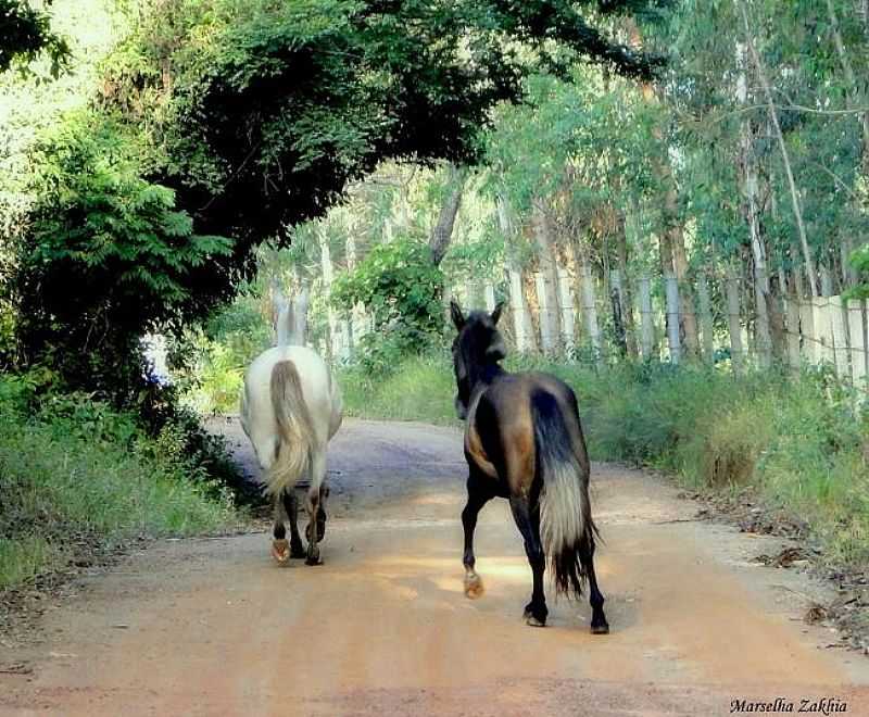 ITUMIRIM - MINAS GERAIS - FOTO PREFEITURA MUNICIPAL - ITUMIRIM - MG